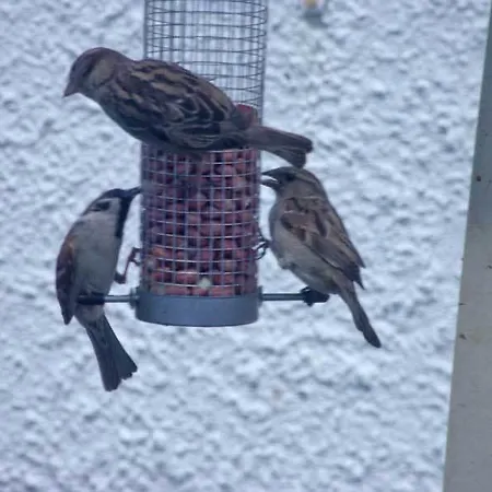 Πανσιόν Graysonside 4*