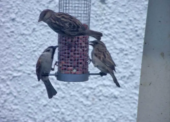 Konukevi Graysonside 4*