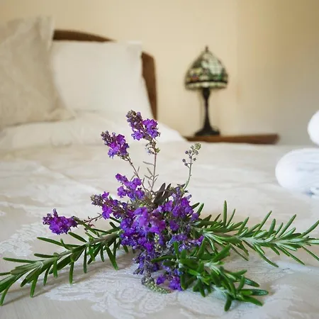 Graysonside 4* Кокермут