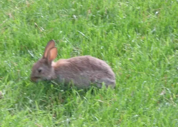 Graysonside Cockermouth